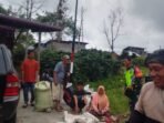 Babinsa Permata Turun ke Kebun, Dampingi Petani Panen Kopi