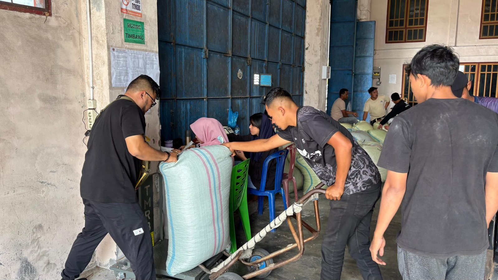 ekspor kopi Gayo ke Tiongkok, Petani Kopi Bener Meriah menimbang hasil panen di gudang CV Danish Bintang Antara Pante Raya Kecamatan Wih Pesam Kabupaten Bener Meriah Senin (27/10).MASHURI | RAKYAT ACEH