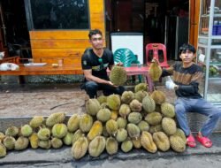 Di Bawah Pohon Durian, Ijal Menanam Harapan Pascabencana