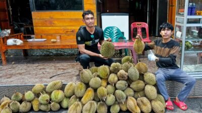 Di Bawah Pohon Durian, Ijal Menanam Harapan Pascabencana