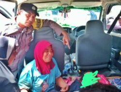 Gajah Liar Mengamuk di Pintu Rime Gayo, Petani Pantanlah Tewas Terinjak