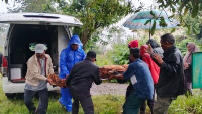 Lansia Warga Bandar Ditemukan Meninggal di Kebun Kopi, Polisi: Tidak Ada Unsur Kekerasan 