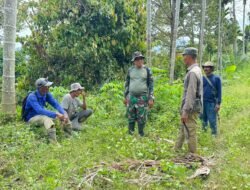 Satgas TMMD Perkuat Kemanunggalan, Komsos Bersama Petani Jeumpa Sikureng