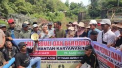 Solidaritas